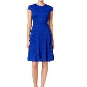 Alfani Royal Blue Lace Fit & Flare Dress Size 16 Spring Summer Wedding Party XL